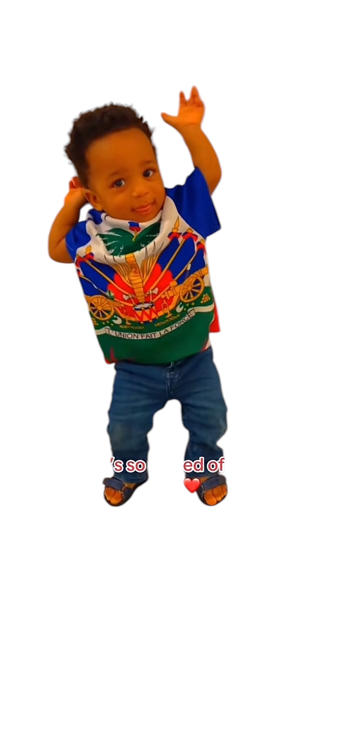 Boys Haitian Flag T-Shirt/ Bold Haitian Pride Graphic Tee